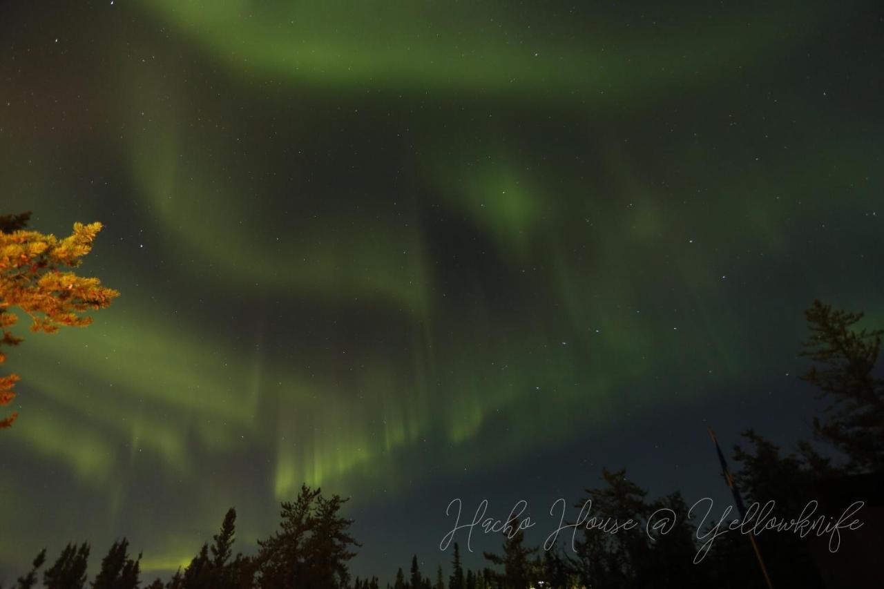 好丘。Hacho House Bed and Breakfast Yellowknife Exteriör bild